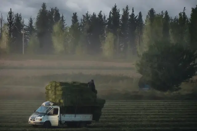 Bolsas de ensilaje de alta calidad