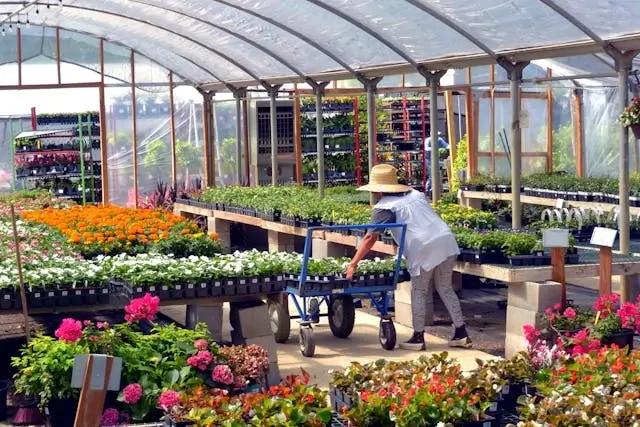 Rollo de plástico invernadero con tratamiento UV